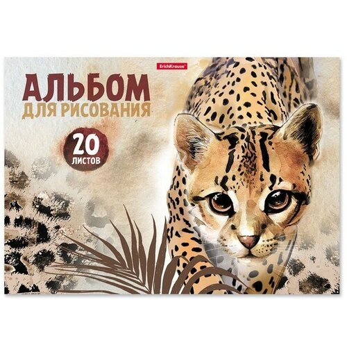 Альбом для рисования А4, 20 листов на клею, ErichKrause Wild Cat, обложка мелованный картон, жёсткая подложка, блок 120 г/м2