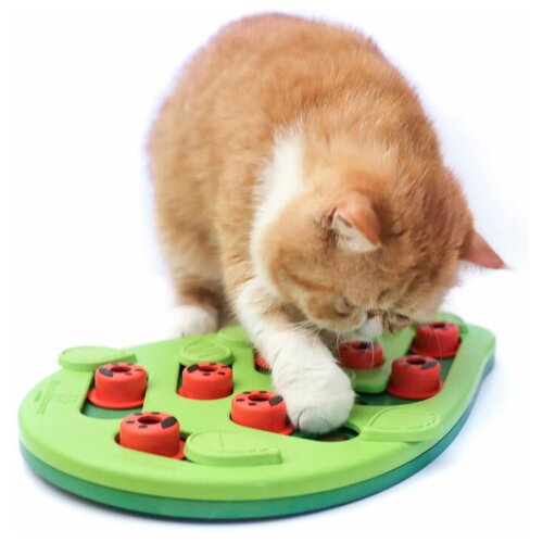 Игра-головоломка Nina Ottosson для кошек 