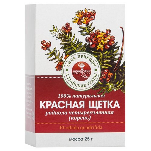 Алфит Плюс корень Красная щетка (родиола четырехчленная), 25 г