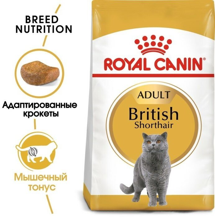 Сухой корм для кошек Royal Canin British Shorthair 34 10 кг - фото №3