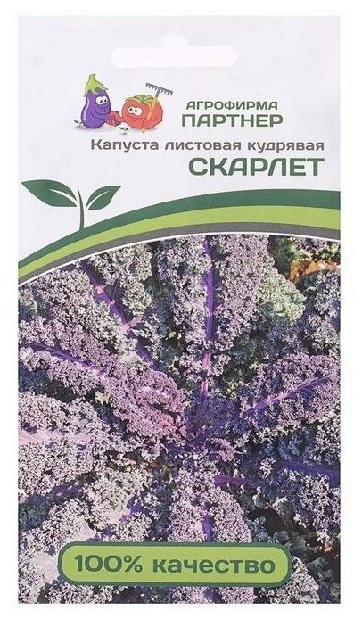 Семена Капуста листовая кудрявая 