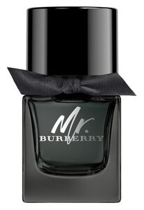 Burberry парфюмерная вода Mr. Burberry, 50 мл