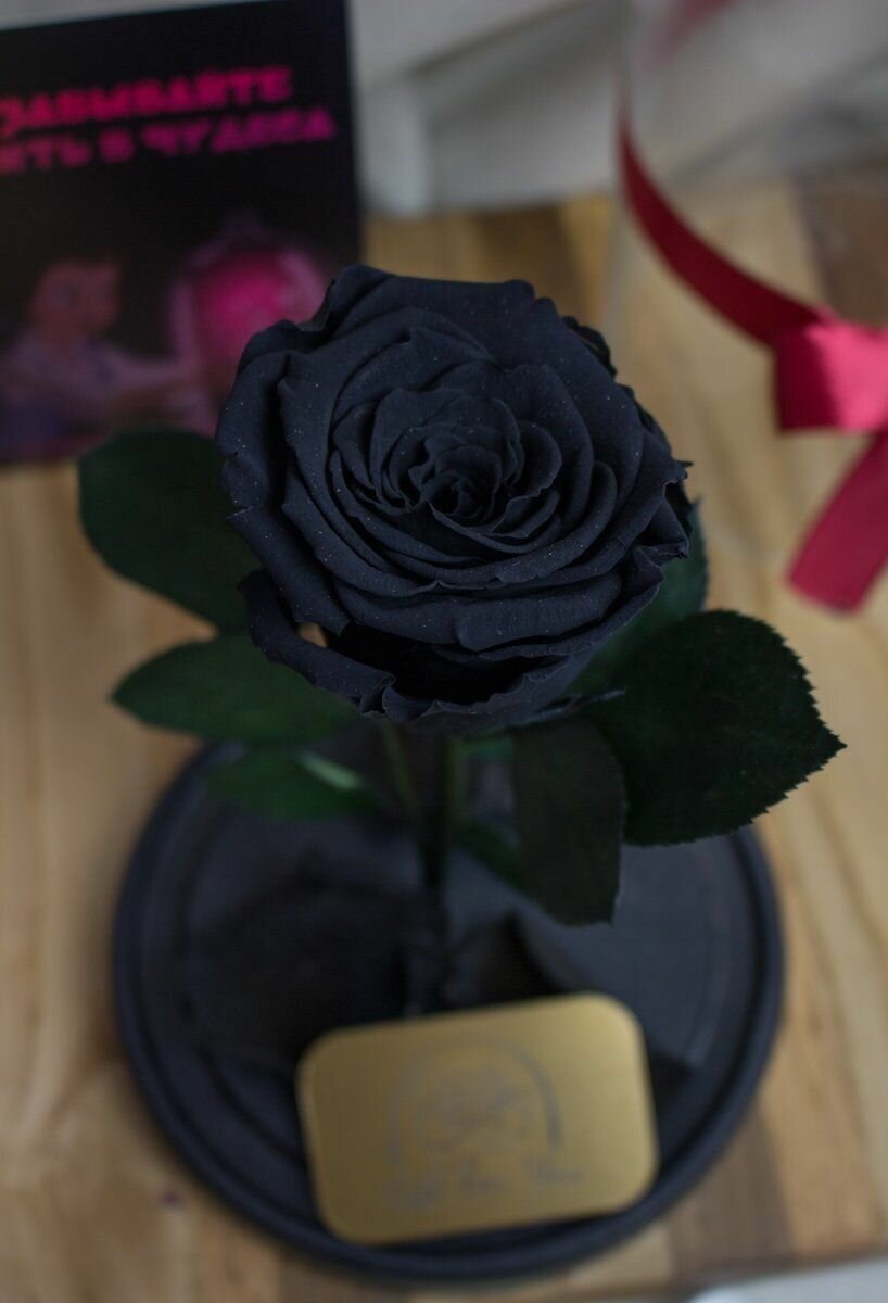 Букет из стабилизированных цветов/ стабилизированные цветы в стекле GIFT4YOU Glamur черный, 22*14 см