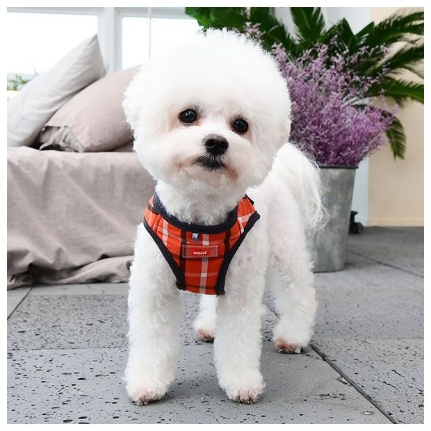 Шлейка-жилет для собак Puppia "Baxter", красная, L (Южная Корея)