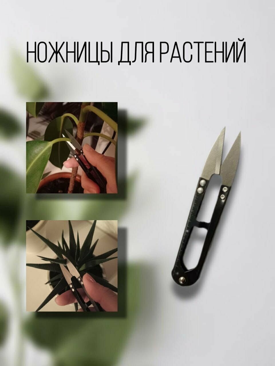 Ручной опрыскиватель ,распылитель для цветов и растений /Комплект Опрыскиватель садовый 0,5 литра с распылителем и Ножницы для цветов - фотография № 4