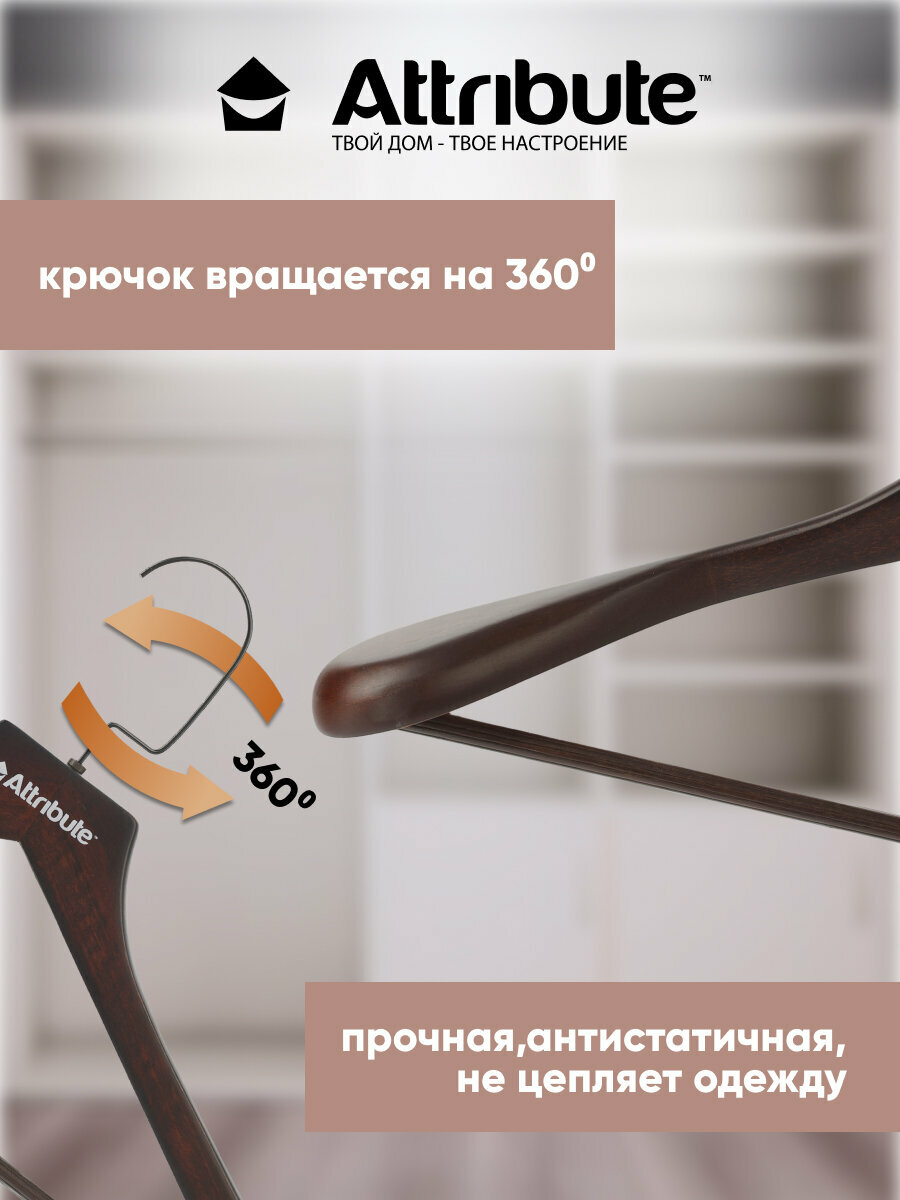 Вешалка для верхней одежды "GEOMETRY" ATTRIBUTE HANGER, 45,5 см, натуральное дерево — фото 1