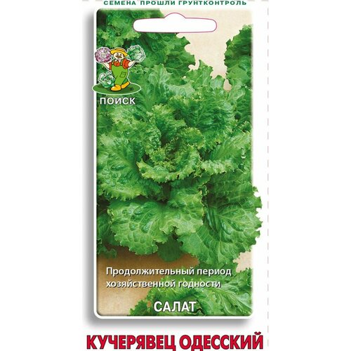 Семена Салат Кучерявец Одесский