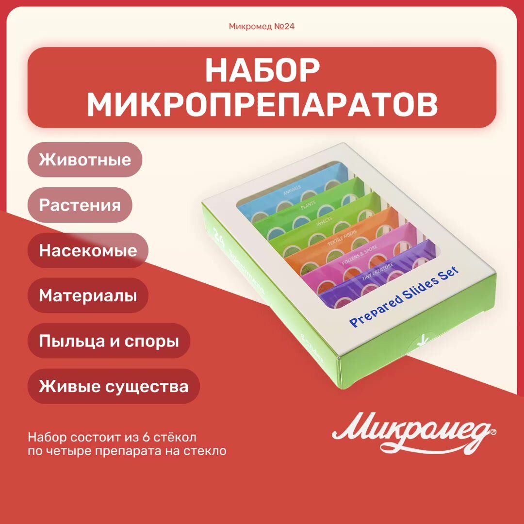 Набор микропрепаратов "Микромед" №24, для детского микроскопа, безопасный, 6 стекол — фото 1