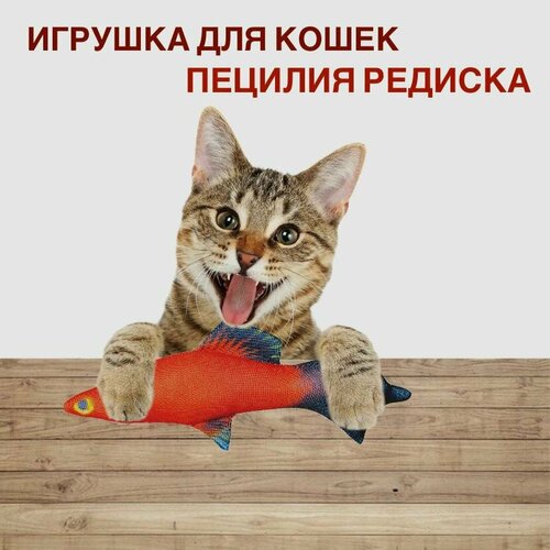 Игрушки для кошек "Пецилия редиска"длинна 18см. ширина 5 см.1 шт.