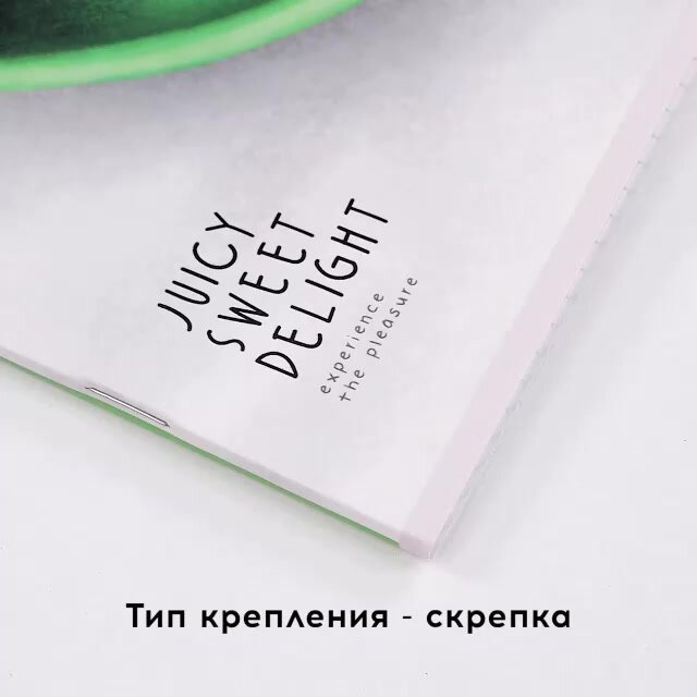 Тетрадь для школы общая в клетку 48 листов, формат А5 / Набор 4 штуки BG "Summer dessert" /для школьников, студентов — фото 1