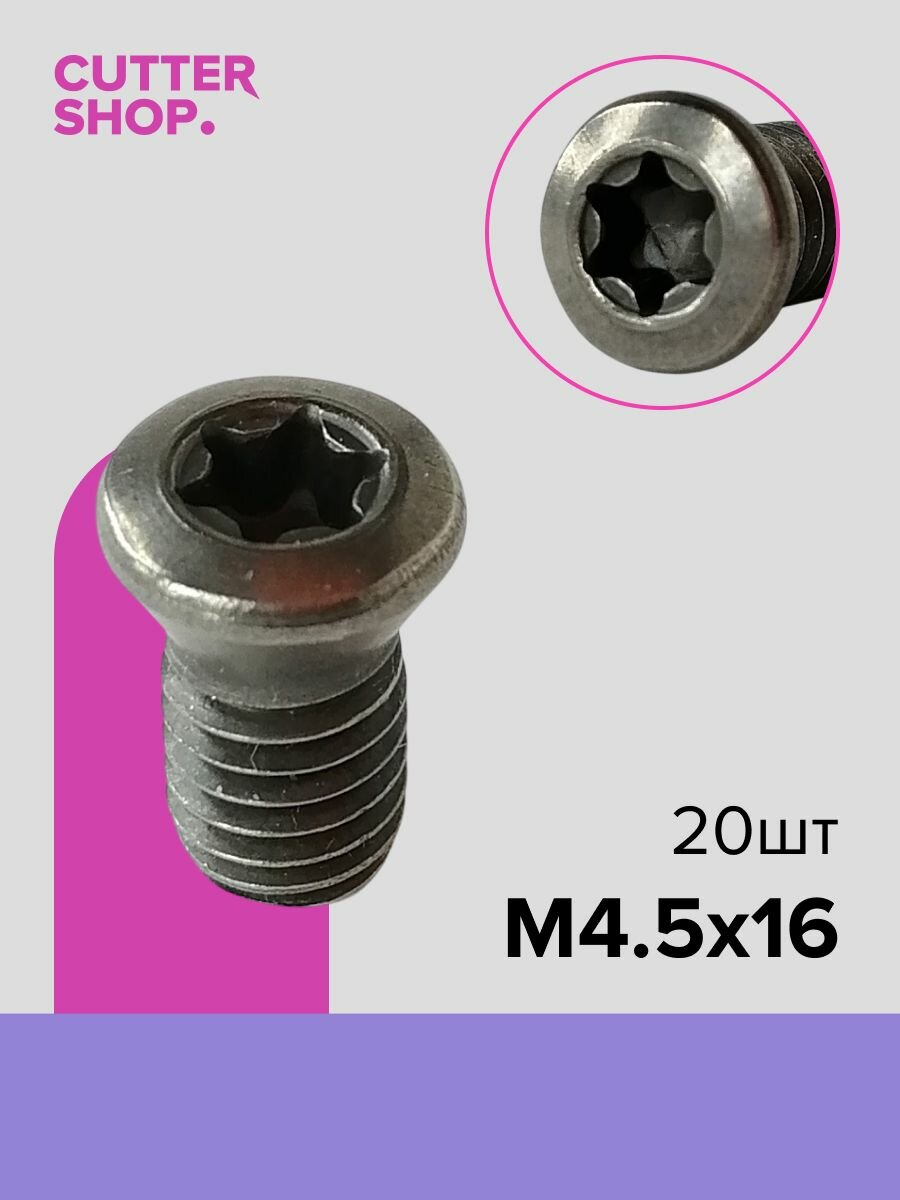 Винт M4.5x16 с внутренним шестигранником "звездочка" TORX, 20 шт.