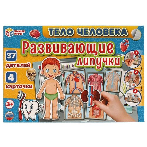 развивающая игра с липучками умные игры пицца Тело человека Игра с липучками 20 шт.