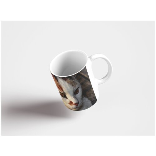 фото Кружка "кот, белый, животное 320 мл. белая" lotsprints