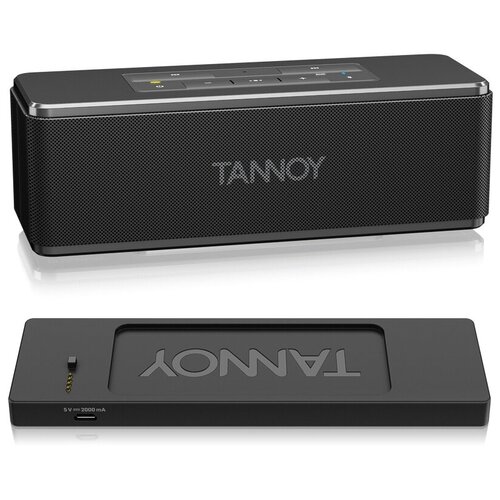 Tannoy LIVE MINI портативная колонка 1330000₽
