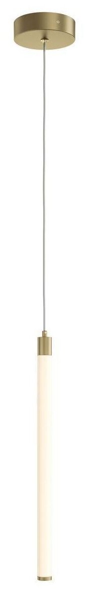 Потолочный светильник MAYTONI Technical Ray P021PL-L10MG3K, 10 Вт, кол-во ламп: 1 шт., цвет: золотой
