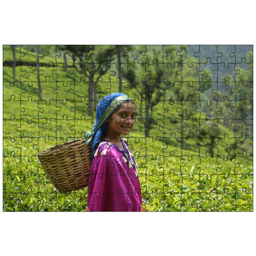 фото Магнитный пазл 27x18см."девочка, корзина, чайная плантация" на холодильник lotsprints