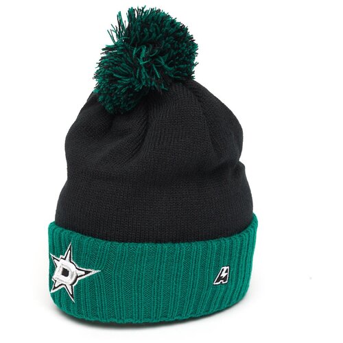 Шапка NHL Dallas Stars 59287