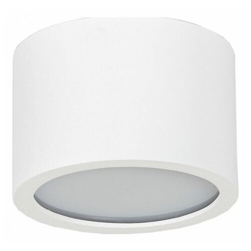 Люстры и потолочные светильники TopDecor Tubo IP P1 10