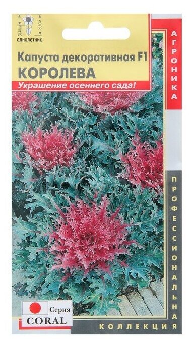Семена Плазменные Семена Coral Капуста декоративная Королева F1 5 шт.