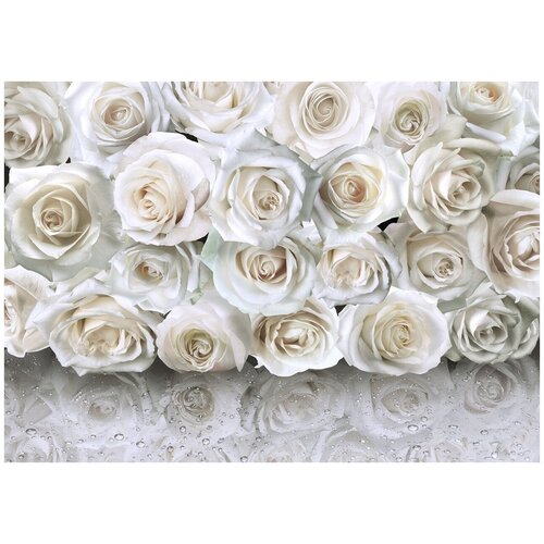 Букет белых роз зеркало - Виниловые фотообои, (211х150 см)