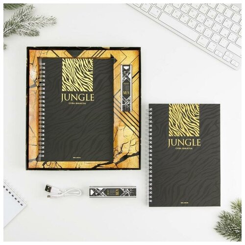 Набор ежедневник и павер банк модРВ-03 Energy for men 227 х 245 см 121000₽