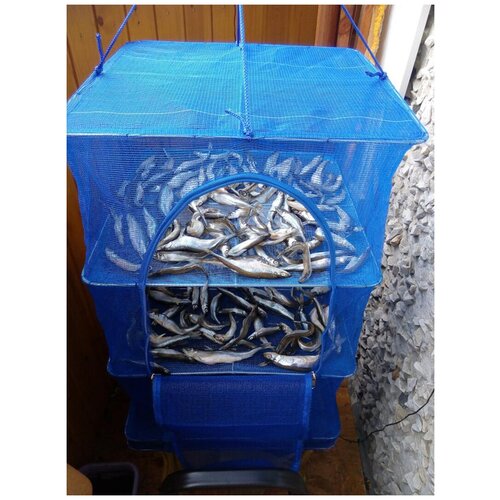 Подвесная овощная 3в1 сетка Сушилка 40x40x60 усиленный каркас для рыбы грибов трав ягод 169000₽