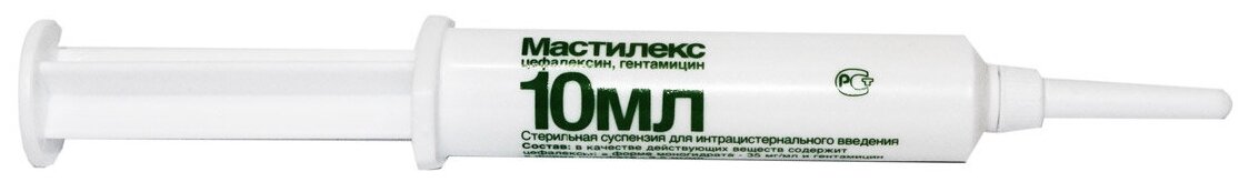 Мастилекс шприц-катетер 10МЛ