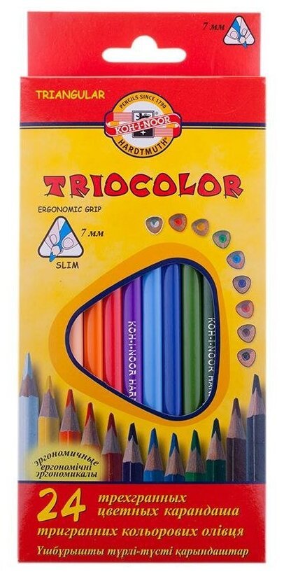 Карандаши цветные 24 цвета Koh-I-Noor Triocolor (L=175мм, D=7мм, d=3.2мм, 3гр) картонная упаковка (3134024004KSRV)