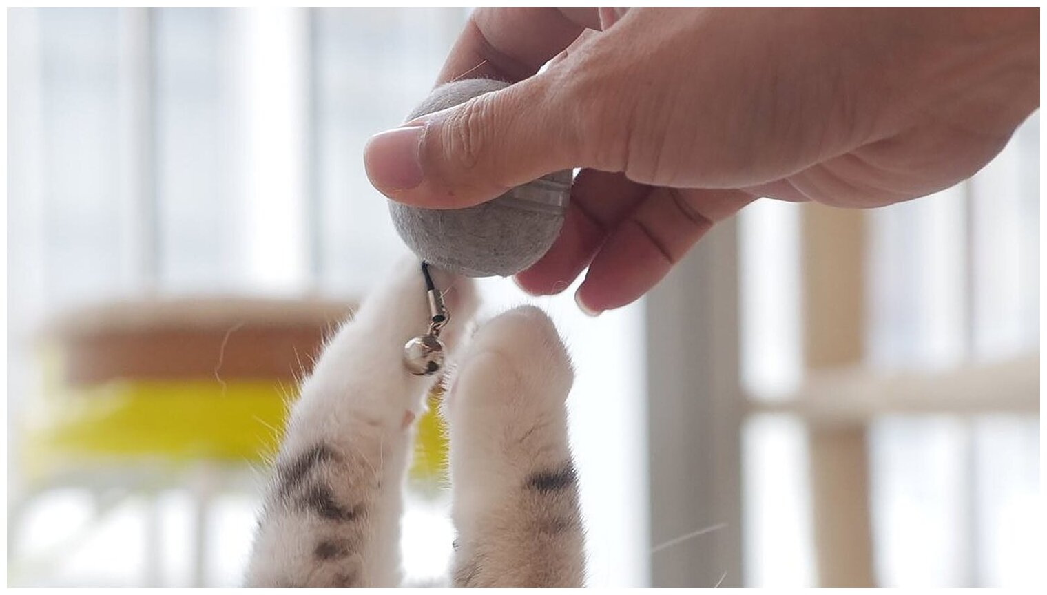 Интерактивная игрушка для кошек и котят Cheerble Ball M1 (Серый) - фотография № 5