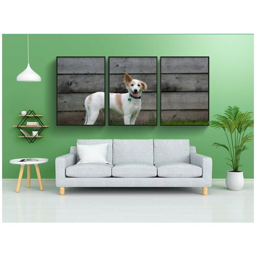 фото Набор модулных постеров для интерьера "щенок, милый, пушистый" 60x90 см. в тубусе, без рамки lotsprints