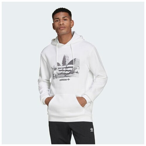 фото Толстовка adidas trfoil c hoody2 мужчины hc7164 xl