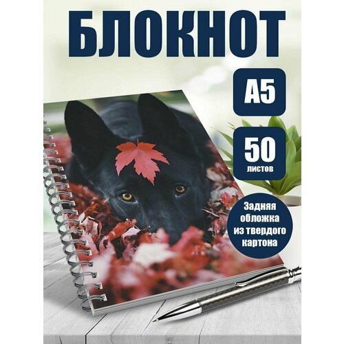 Блокнот А5 фотографии собаки