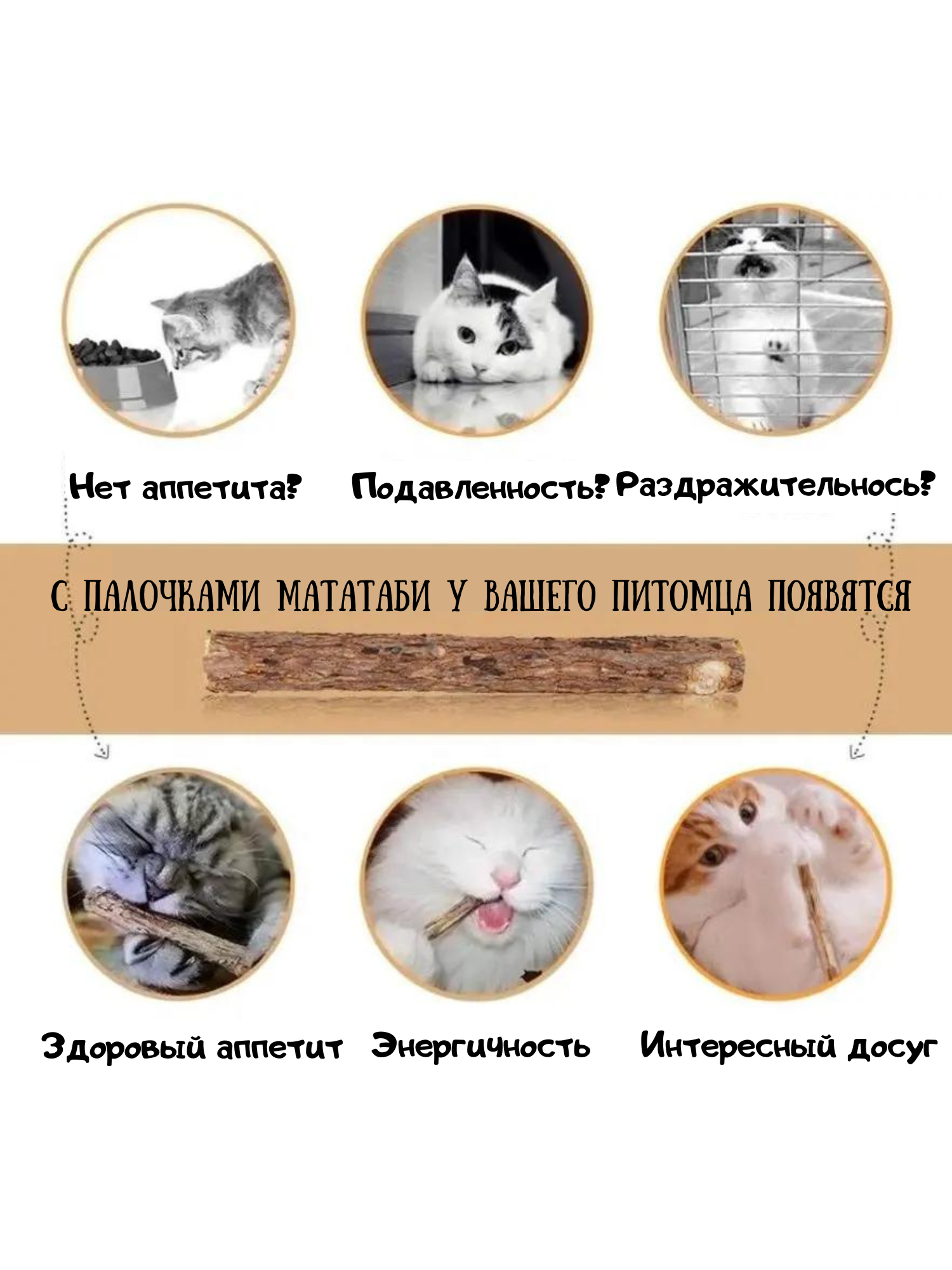 Палочки мататаби для кошек Pet Stuff 10 штук - фотография № 3