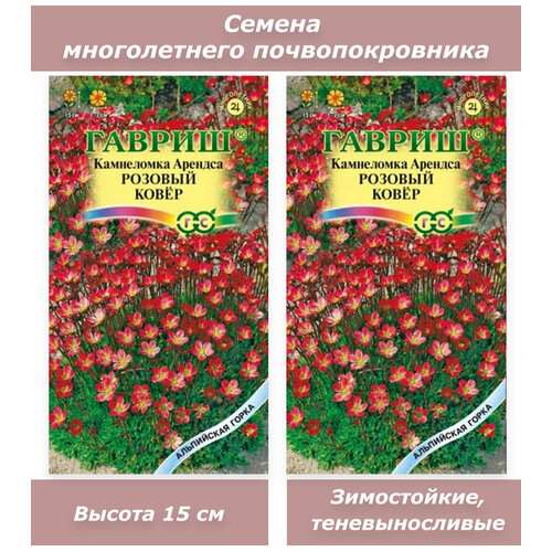 Семена многолетних цветов Камнеломка семена камнеломка марго красная 0 005 гр 2 подарка