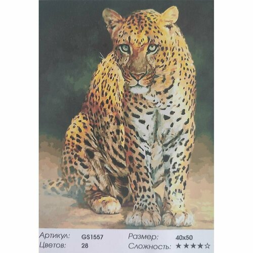 Картина по номерам Взгляд леопарда 40х50 GS1557 картина по номерам глубокий взгляд 40х50 см