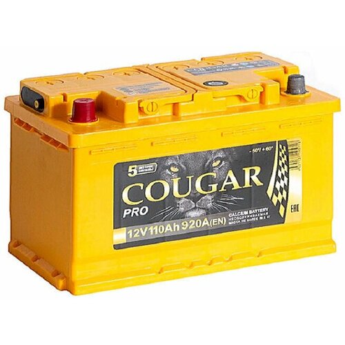 Аккумулятор автомобильный Cougar PRO 110 А/ч 920 A прям. пол. Росс. авто (353x175x190)