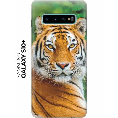 Чехол - накладка ArtColor для Samsung Galaxy S10+ с принтом Портрет тигра чехол накладка artcolor для samsung galaxy a80 с принтом портрет тигра