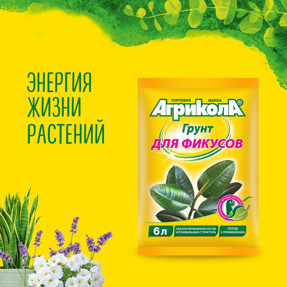 Агрикола грунт для фикусов 6л