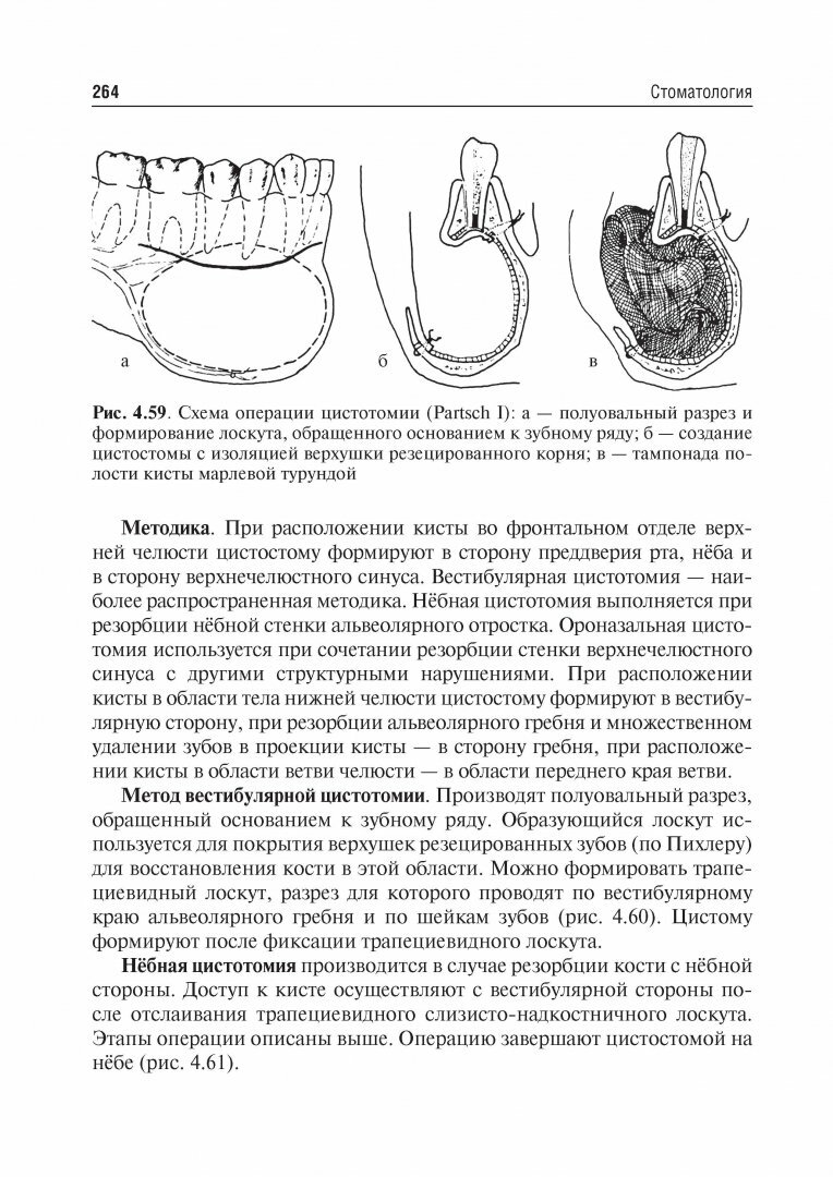 Стоматология. Учебник для ВУЗов - фото №11