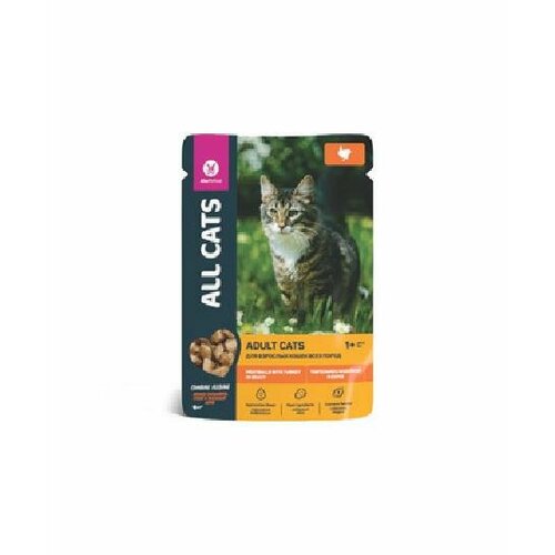 All Cats Пауч для кошек с тефтельками из индейки в соусе 02 AL 910 0,085 кг 54809 (2 шт)