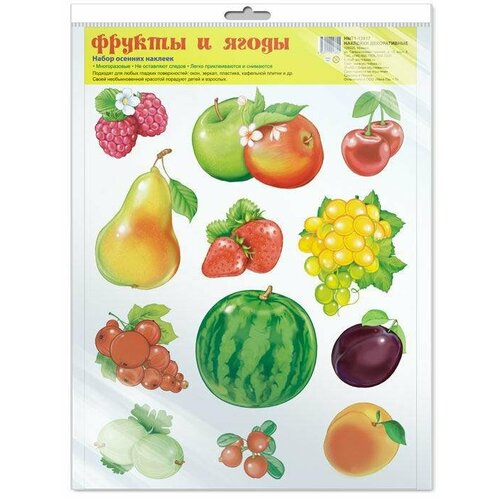 Набор наклеек Творческий Центр сфера Фрукты и ягоды формат А4 в пакете 281₽