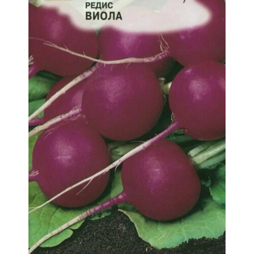 коллекционные семена редиса парат Коллекционные семена редиса Виола