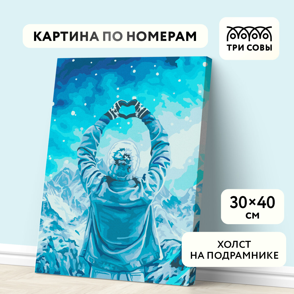 Картина по номерам на холсте на подрамнике 30*40 / ТРИ совы "Любовь и горы" / раскраска для детей и для взрослых, набор для творчества и хобби, живопись