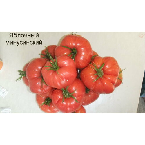 Коллекционные семена томата Яблочный Минусинский красный