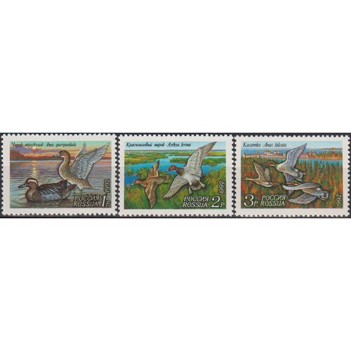 Почтовые марки Россия 1992г. Утки Утки MNH почтовые марки россия 1992г герои литературных произведений президенты мультипликация mnh