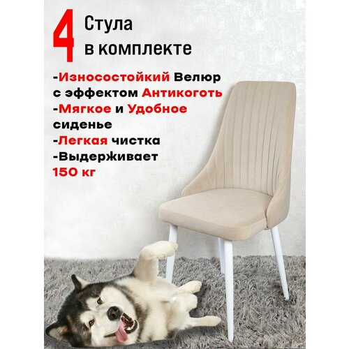 Комплект стульев для кухни и офиса Артхолдинг Руссо, 4 шт, Бежевый
