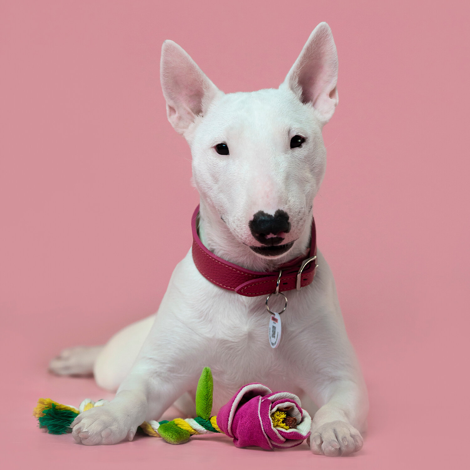 Mr.Kranch игрушка для собак роза с канатом 29 х 5 х 5 см., Розовый - фотография № 8