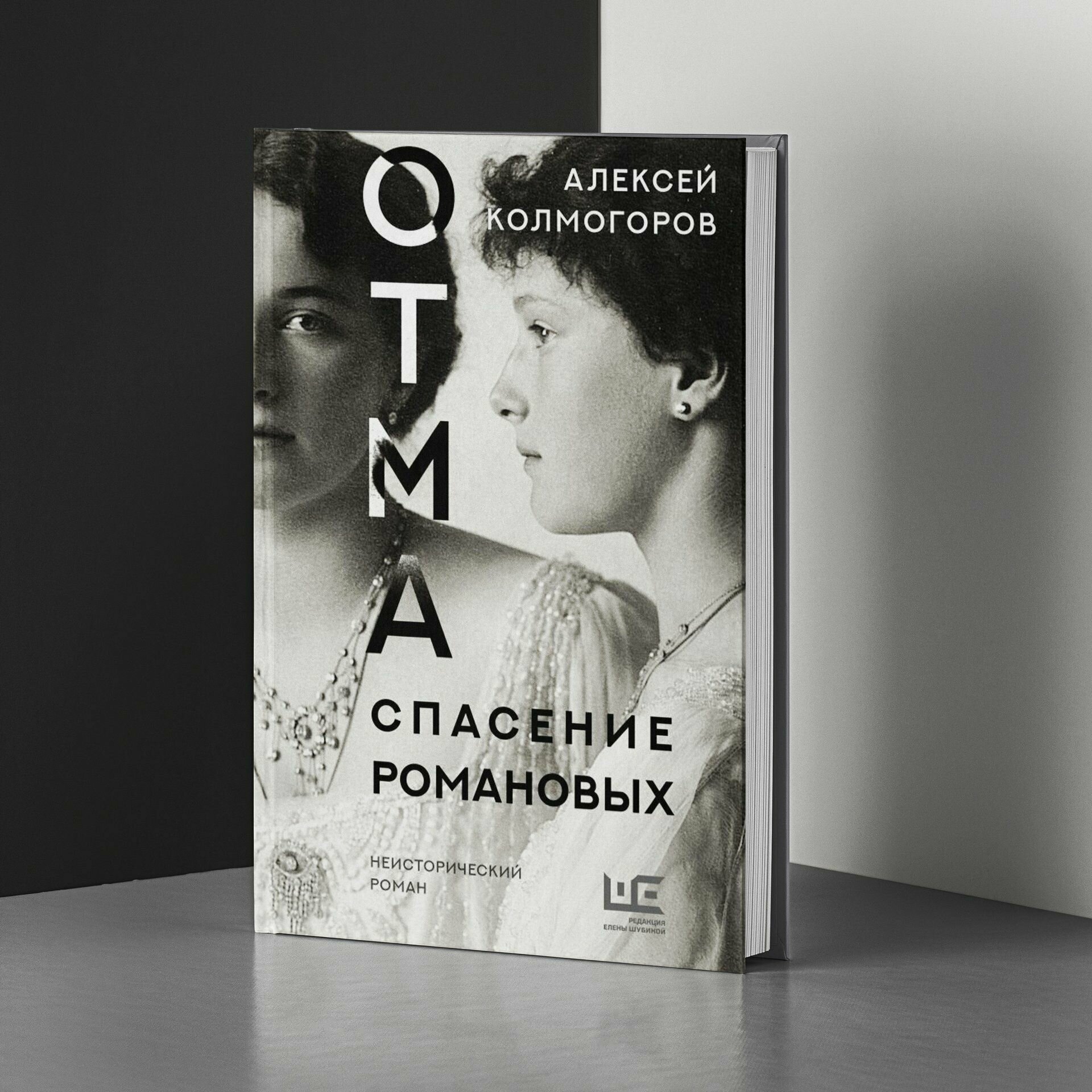 ОТМА. Спасение Романовых (Колмогоров Алексей Алексеевич) - фото №8