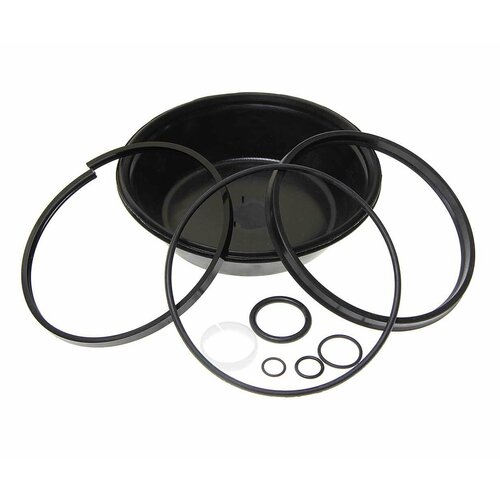 Ремкомплект КАМАЗ энергоаккумулятора тип 30/24 (9 поз.), РК-300, биформ