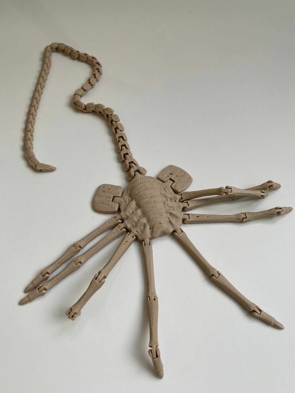 фото Подвижная фигурка Лицехват из кинофильма Чужой